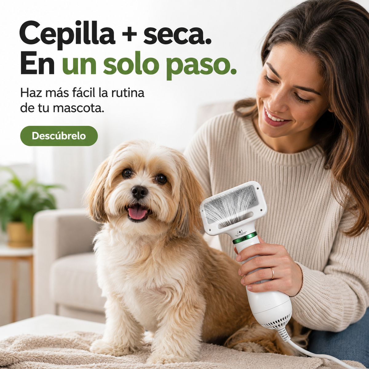 Cepillo Y Secador Para Mascotas 2 En 1