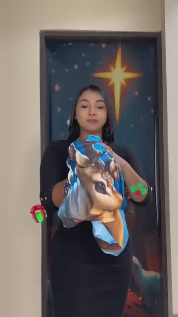 Fundas Navidenas Para Puertas