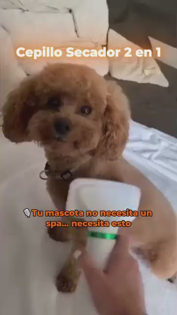 Cepillo Y Secador Para Mascotas 2 En 1